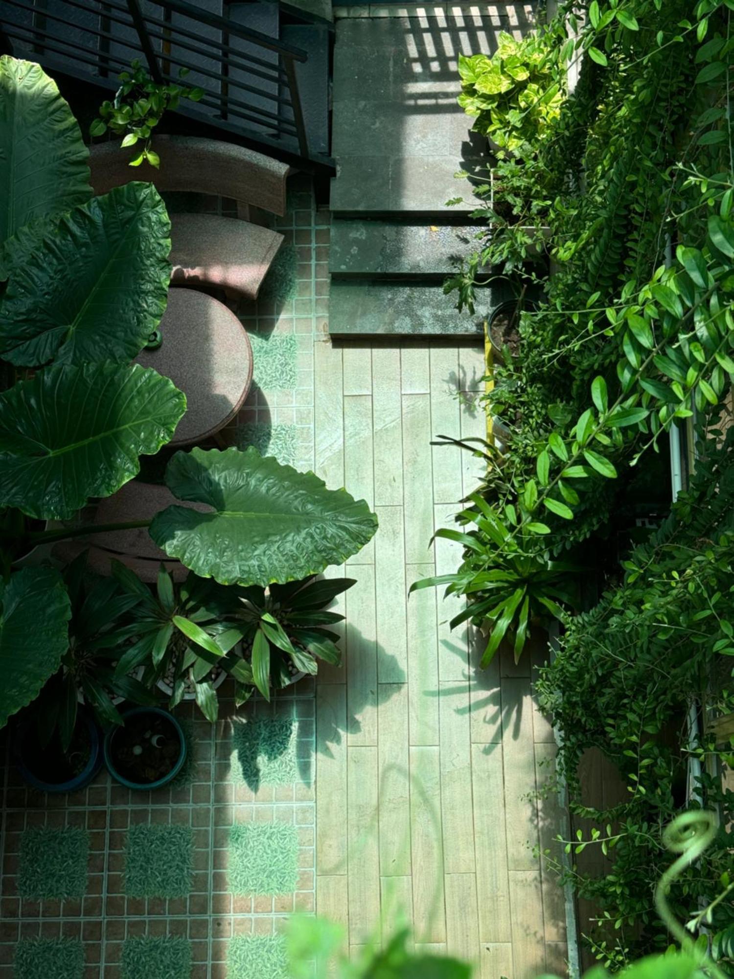 Ở trọ Vania House Comfortable Near The Airport TP. Hồ Chí Minh